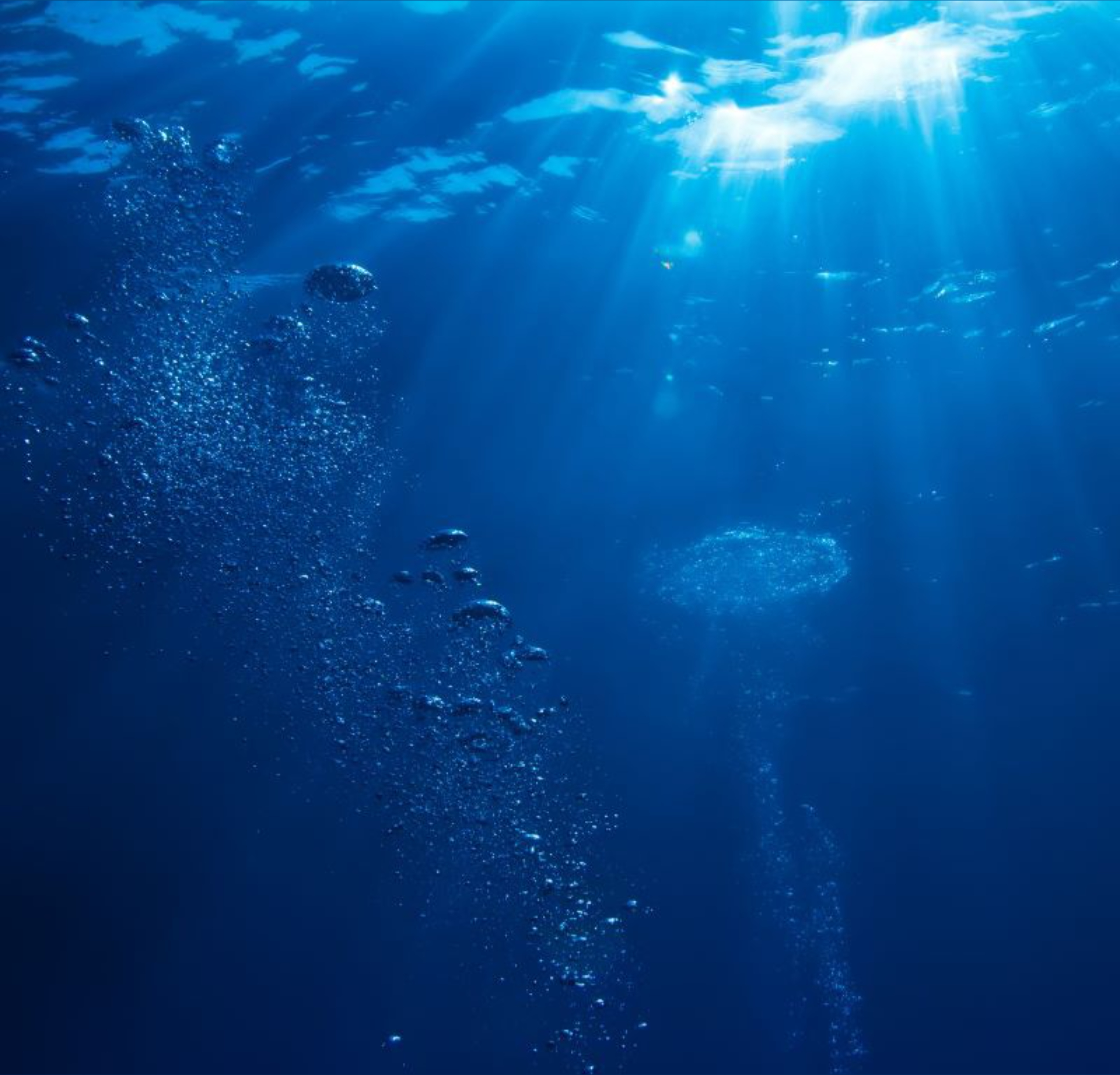 OneAgainstAll41 OnlyFans