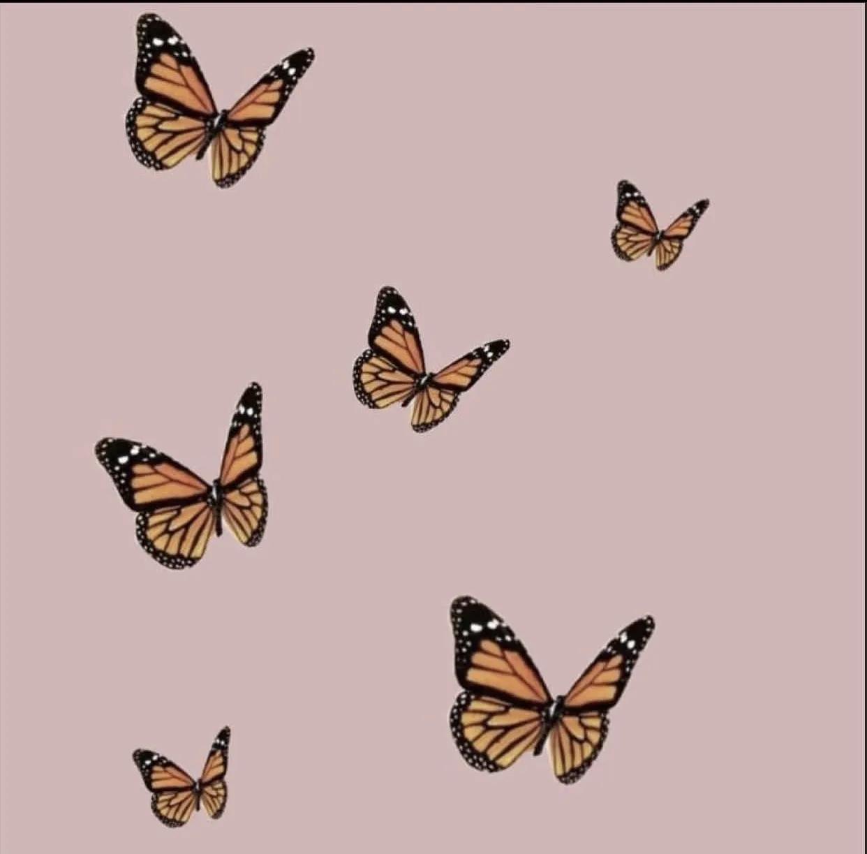 onenonly OnlyFans header