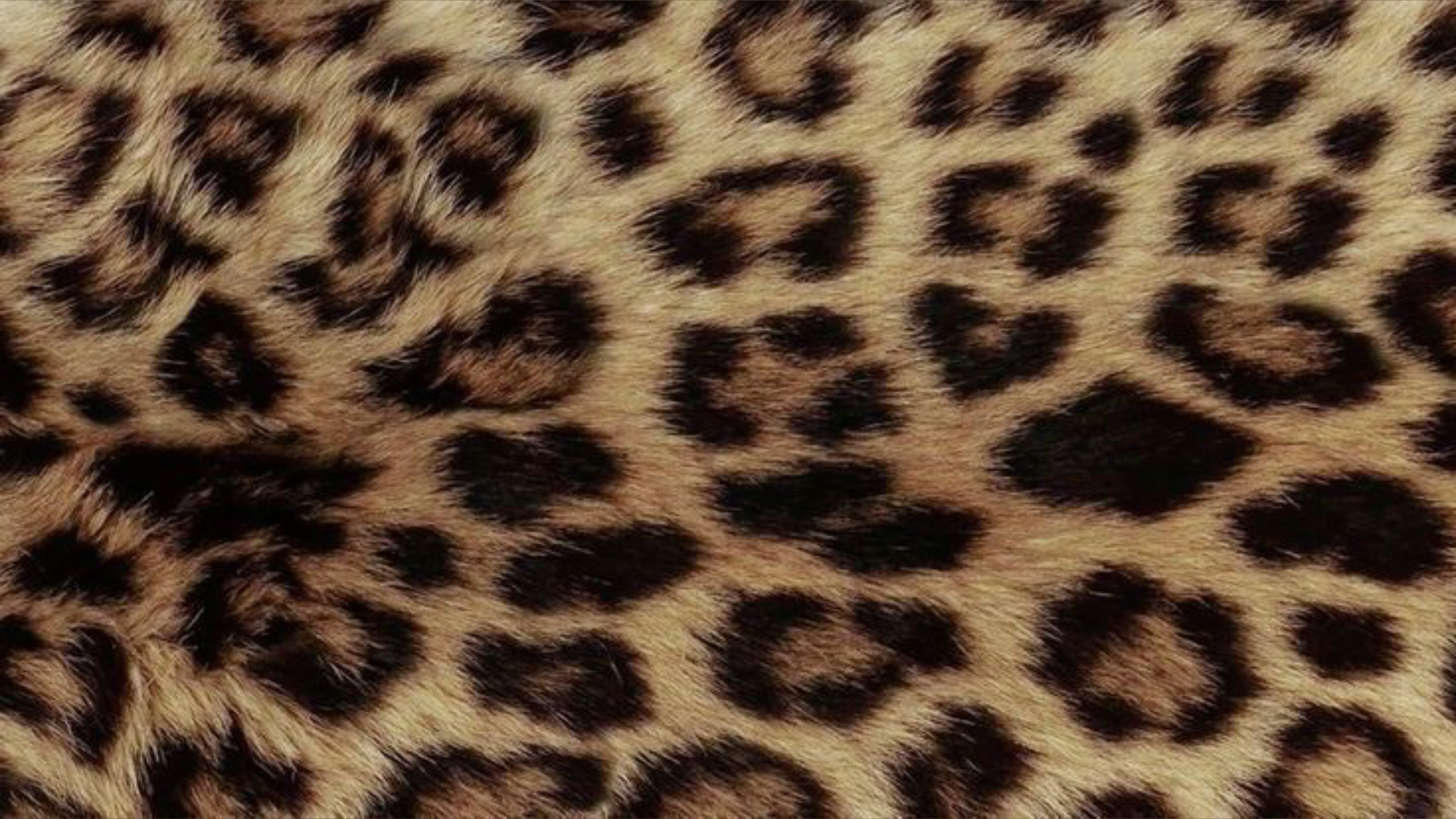 Star Diamonte OnlyFans header