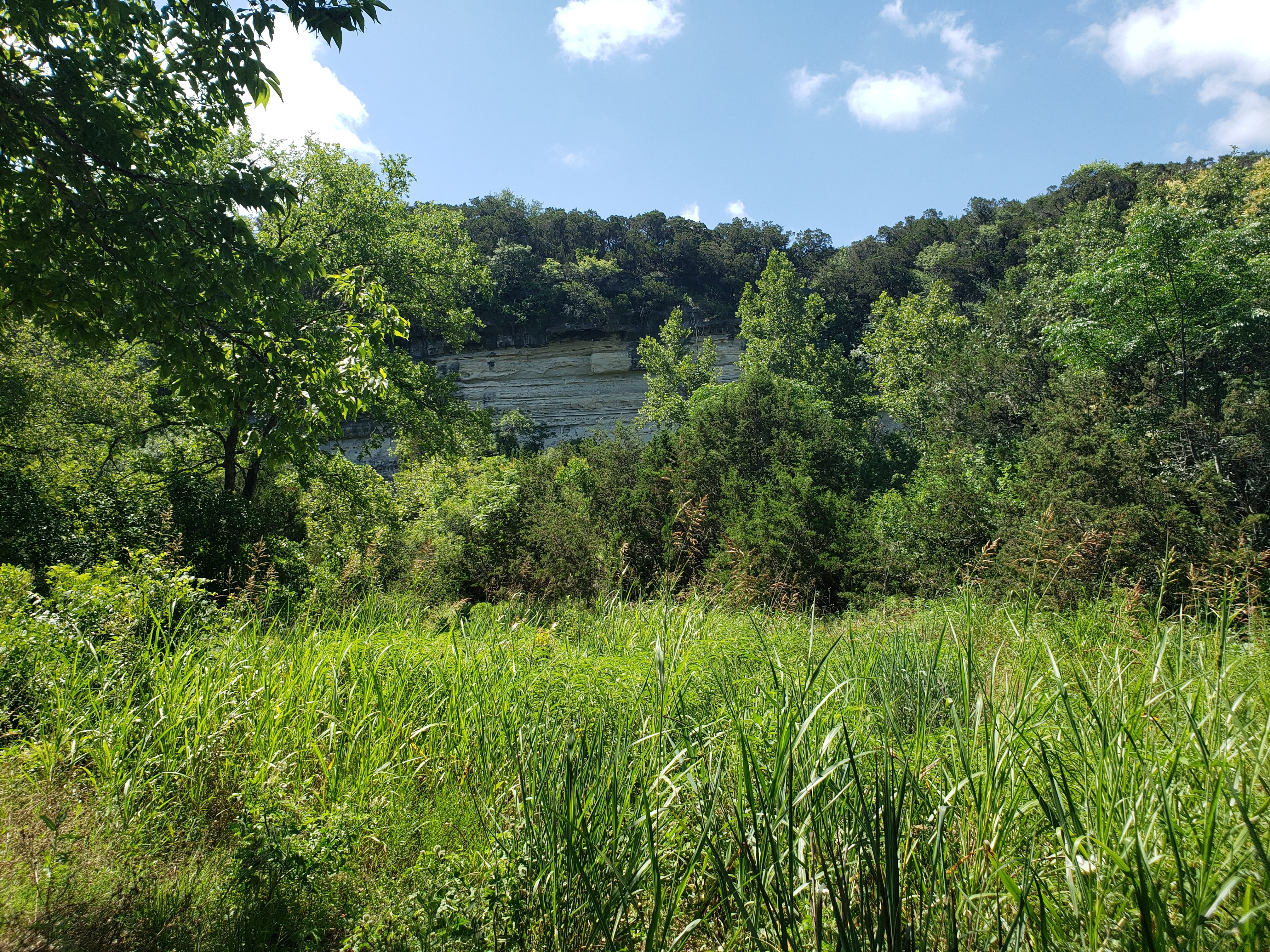 Oneebadkit OnlyFans header