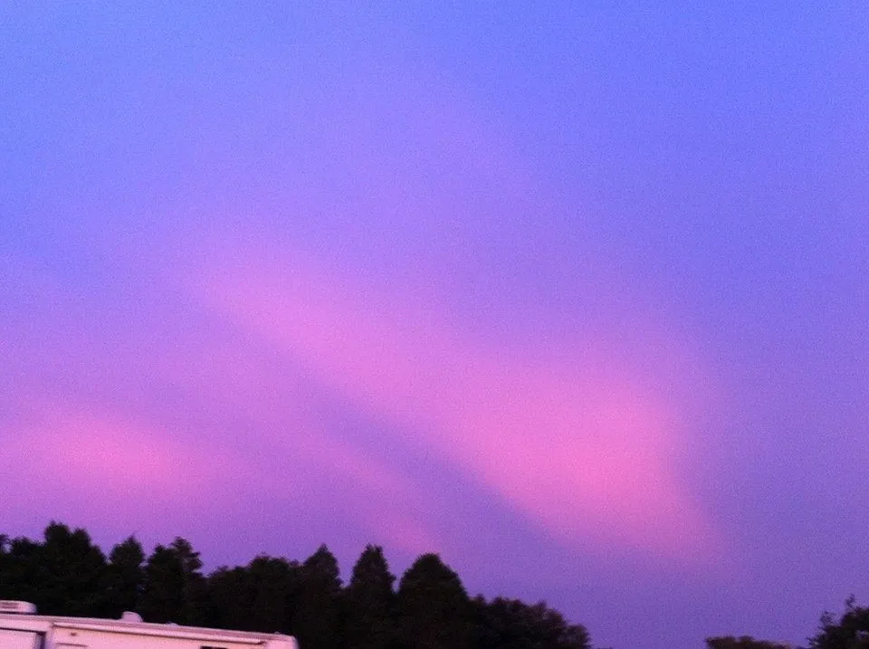 allie OnlyFans header