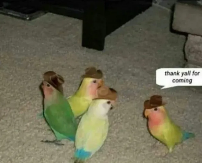 Nick OnlyFans header