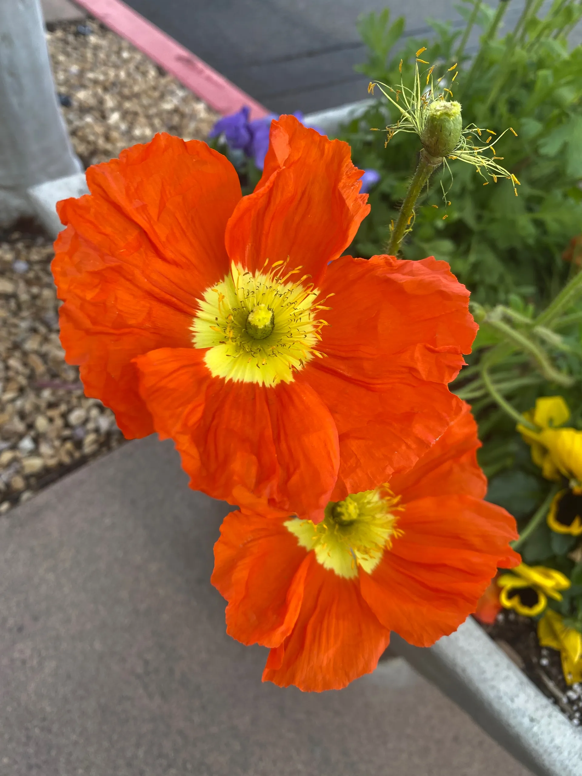 One Love Naked Yoga OnlyFans header