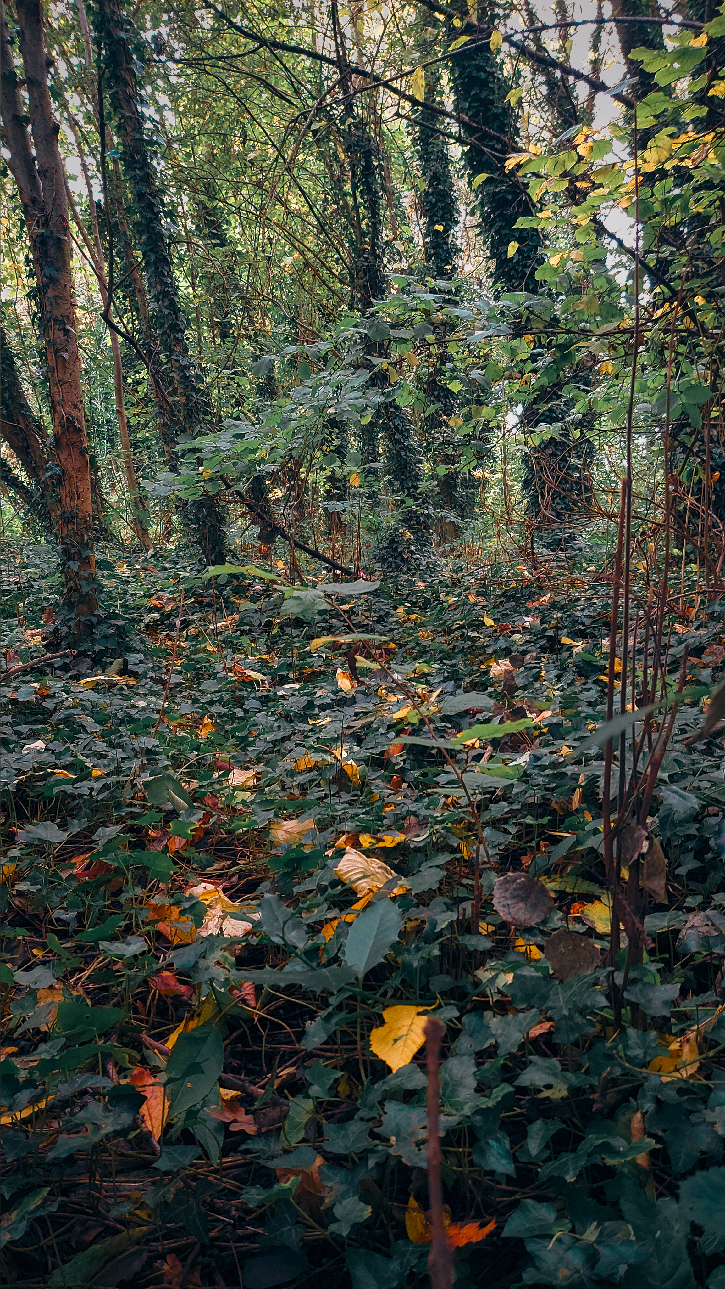 Riley 🥵 OnlyFans header