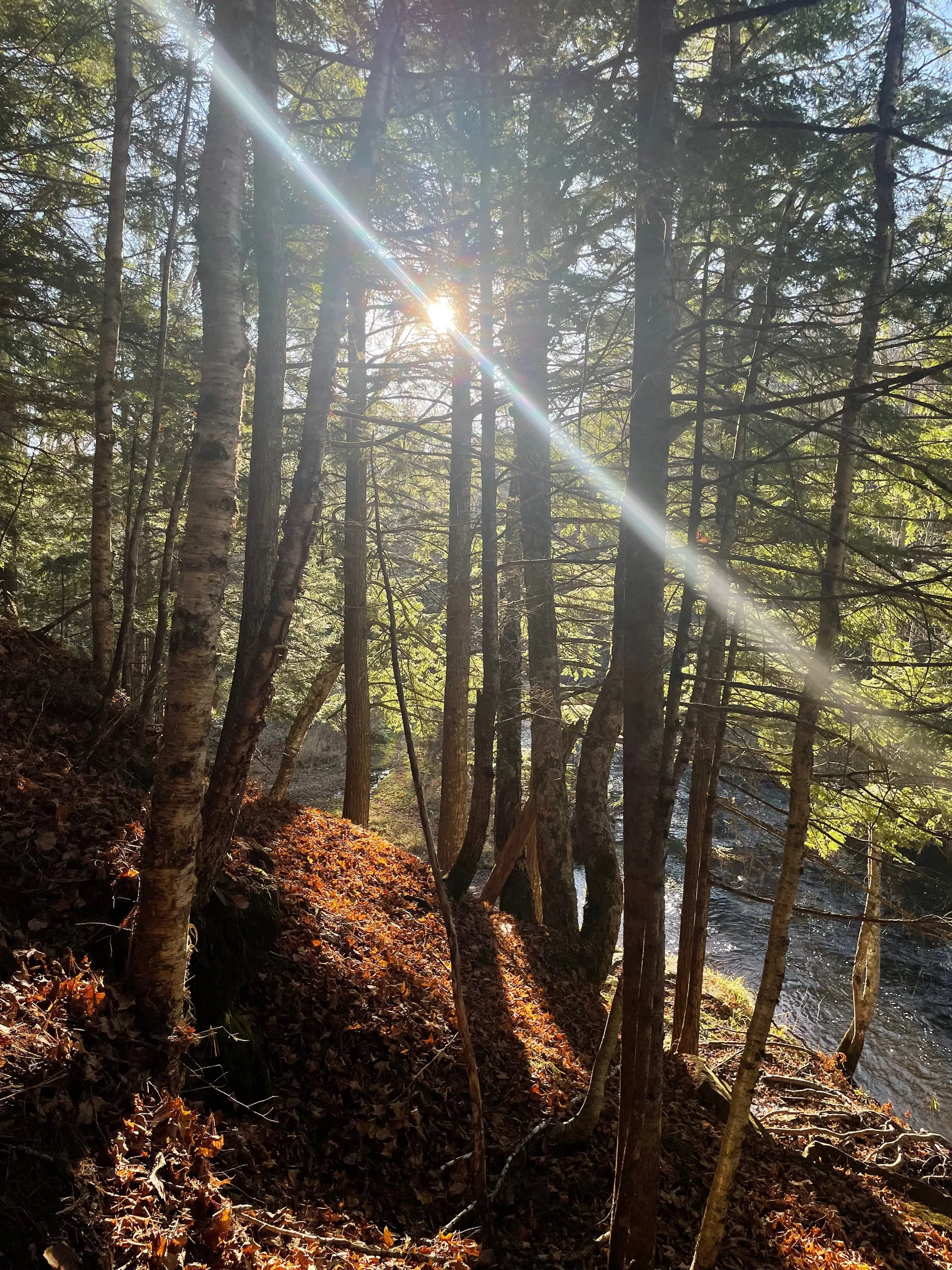 caleb gallo OnlyFans header