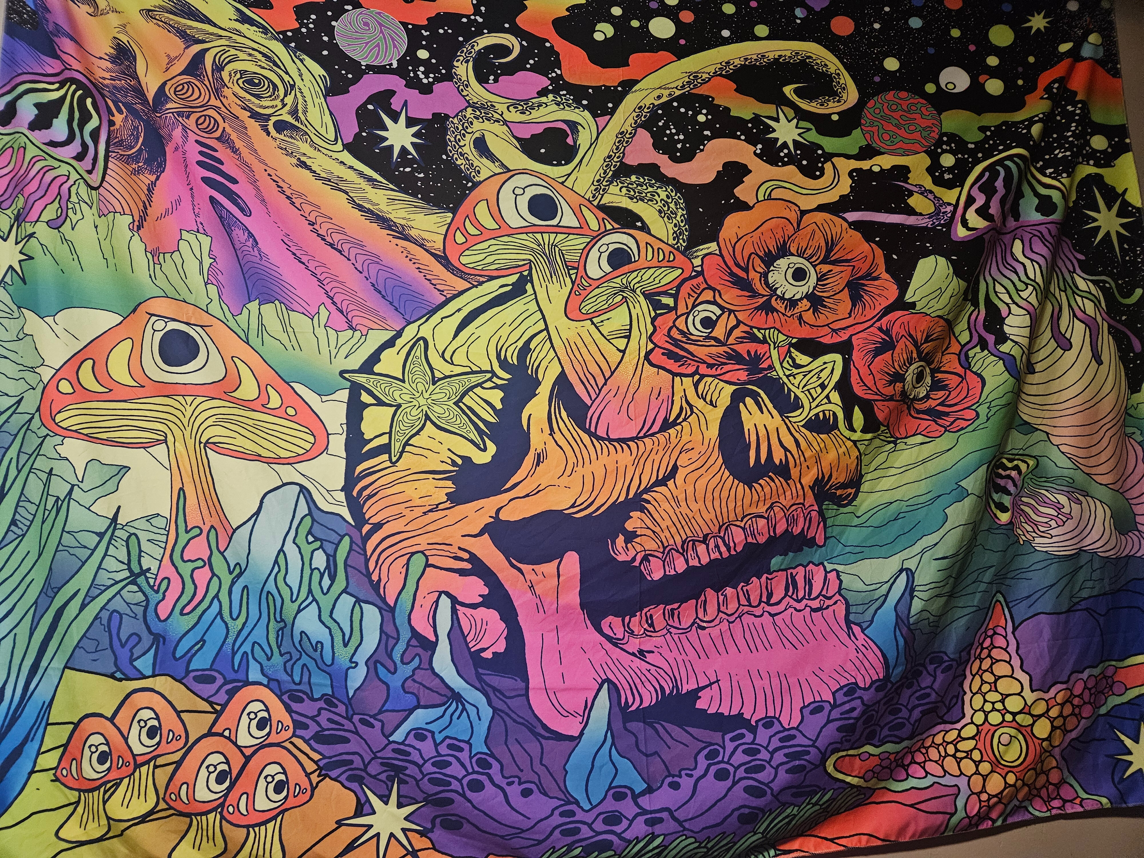 TabbyCat OnlyFans header