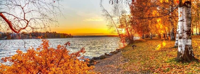 Brave Bèl·la Carina ˈSeksē Wife OnlyFans header