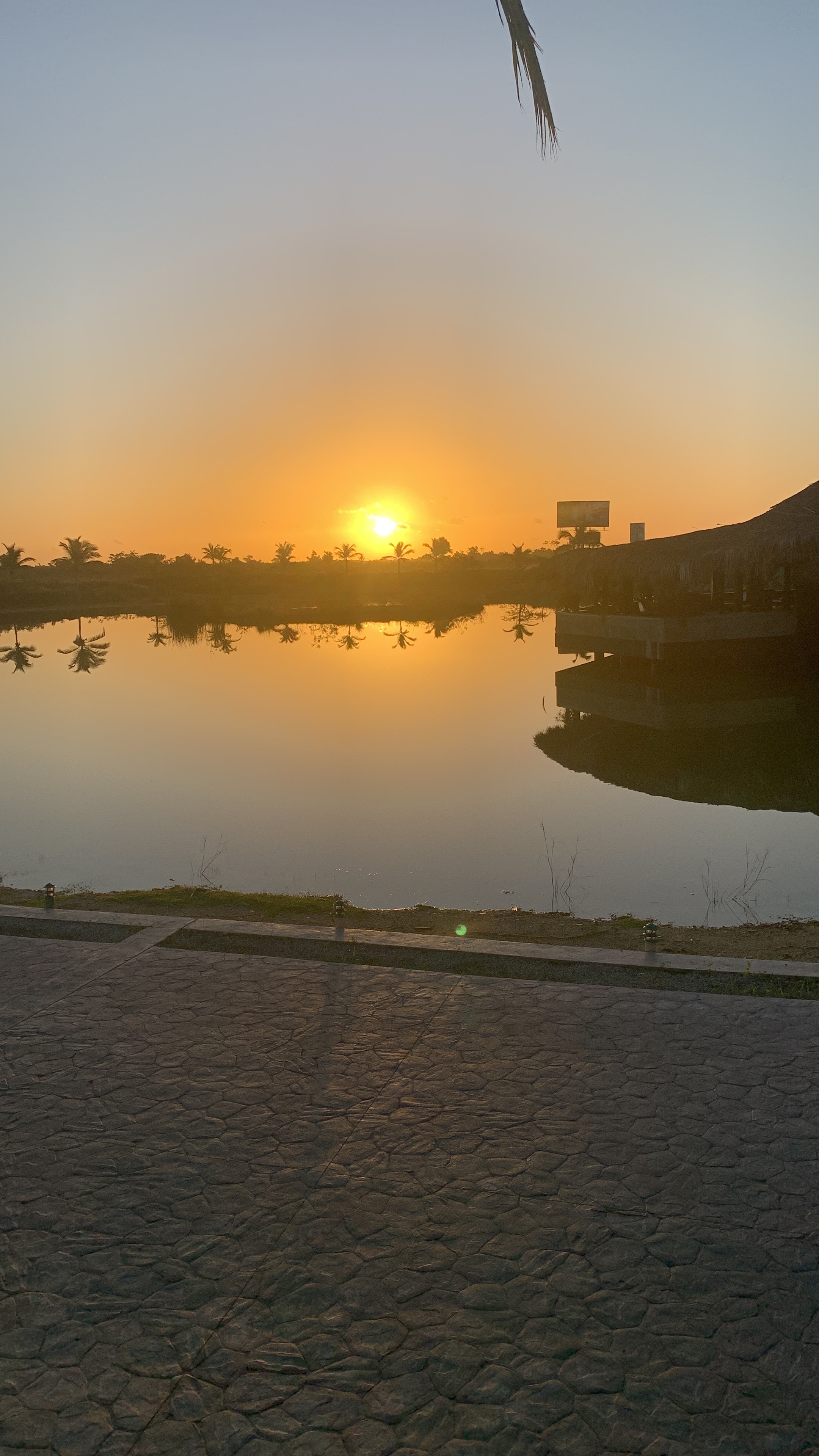 onesexy01 OnlyFans header