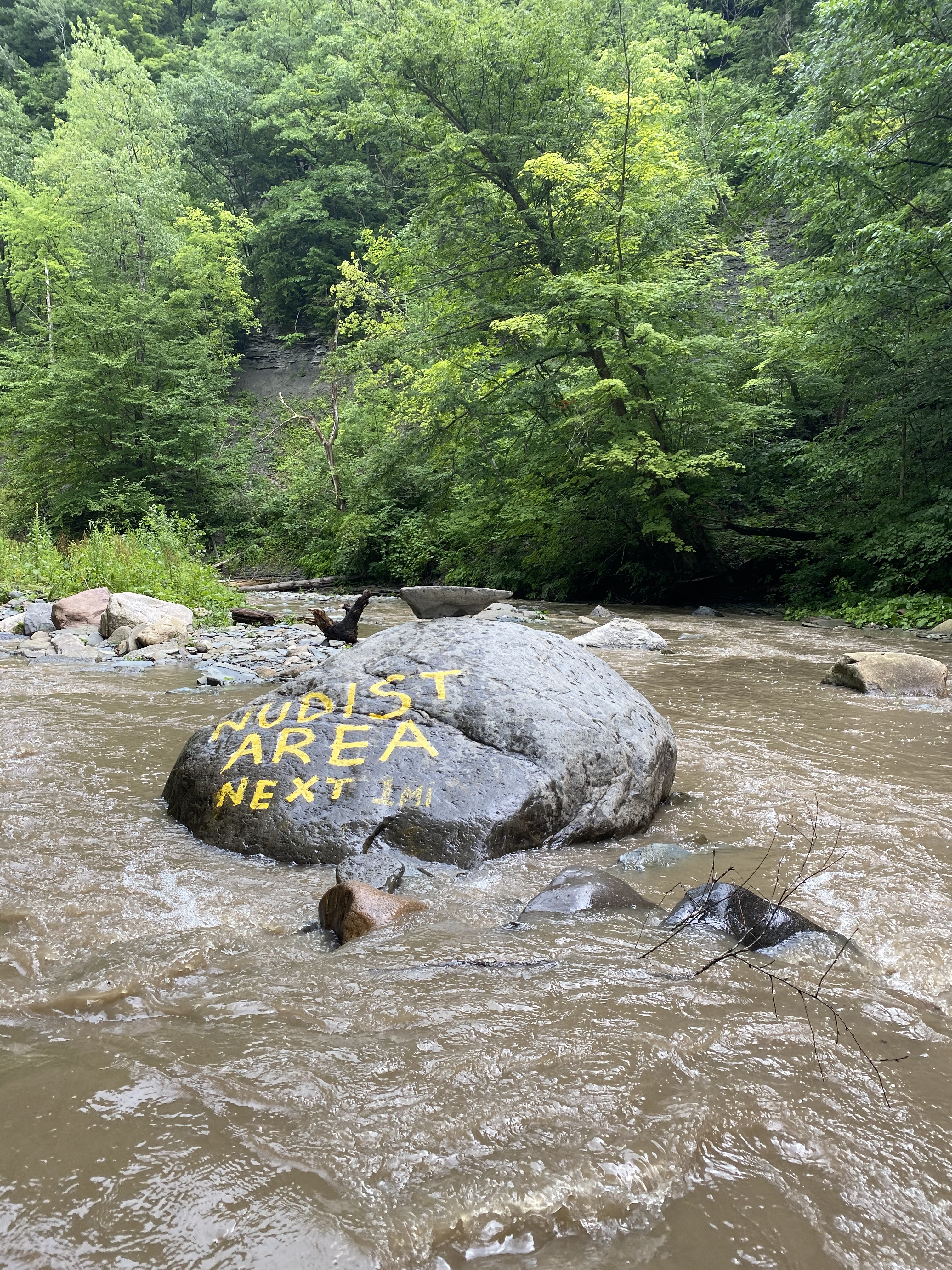 N 🐝 OnlyFans header