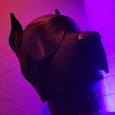 OneStretchyPup OnlyFans