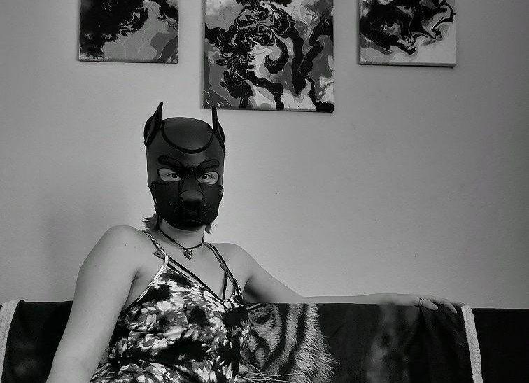 OneStretchyPup OnlyFans header