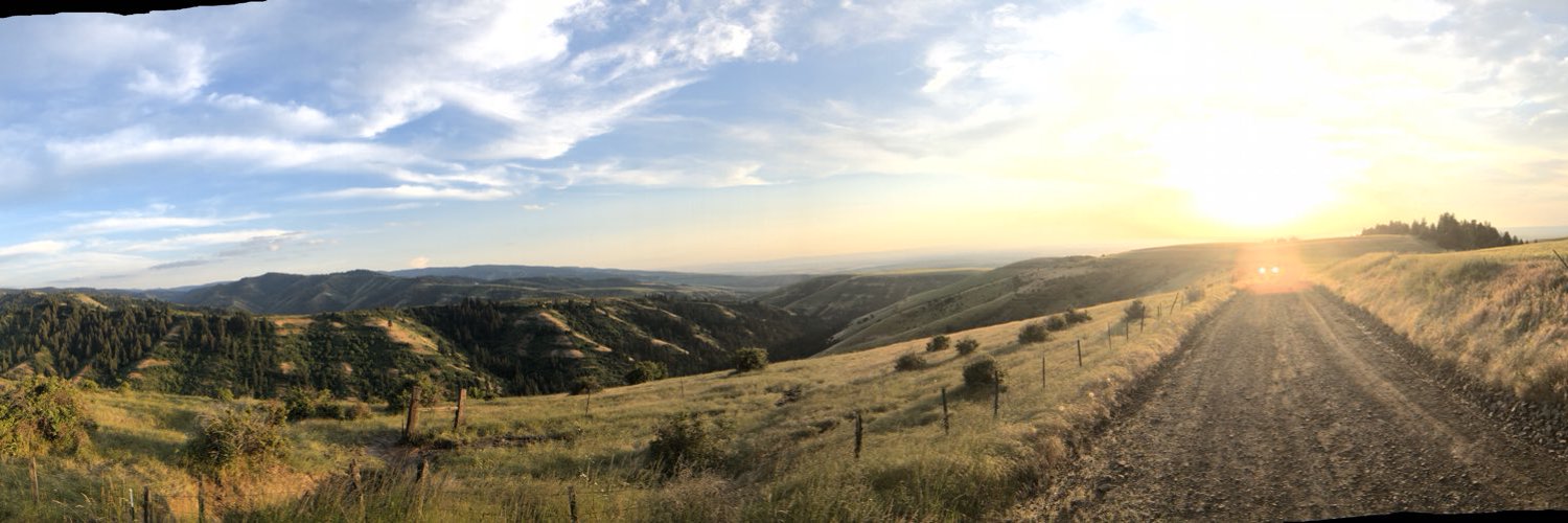 Wookie OnlyFans header