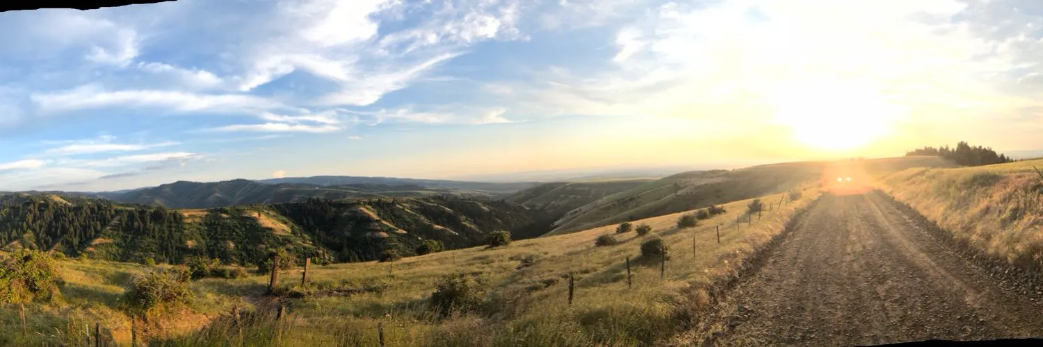 Wookie OnlyFans header