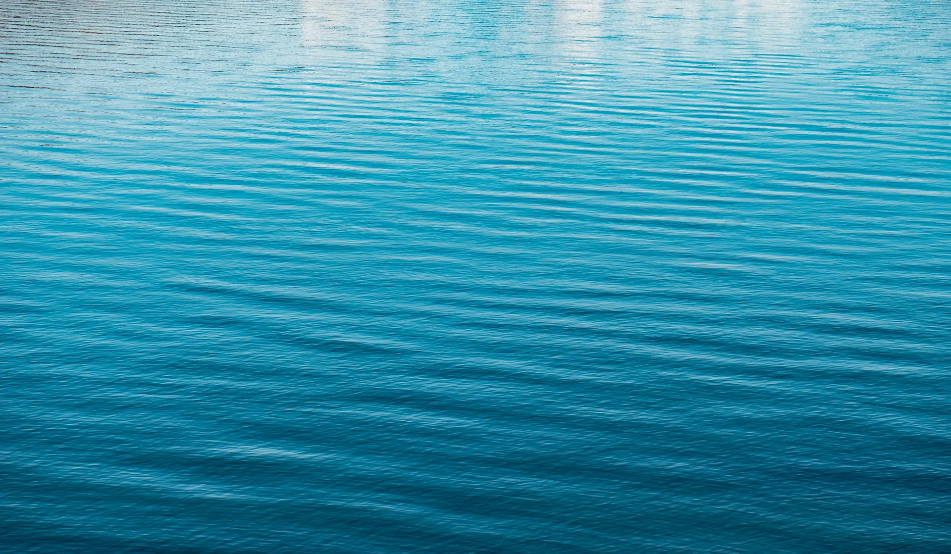 Sr 💚☀️ OnlyFans header