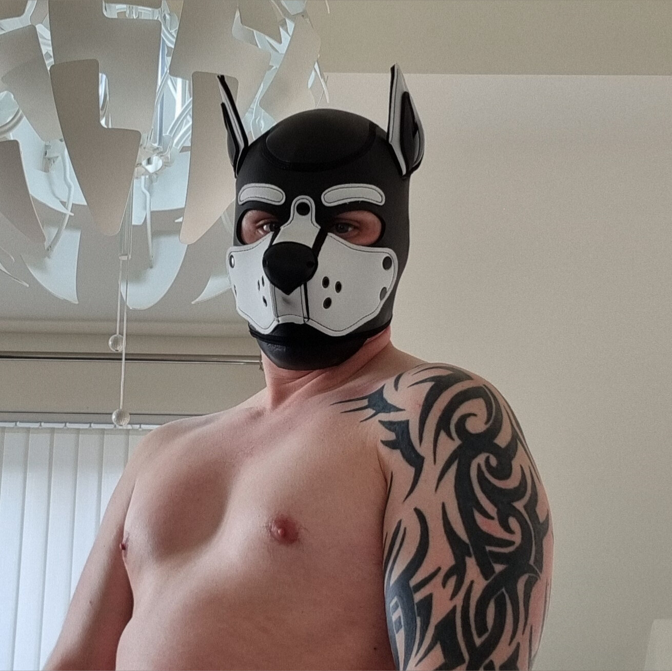 Oni **No Content Yet...** OnlyFans