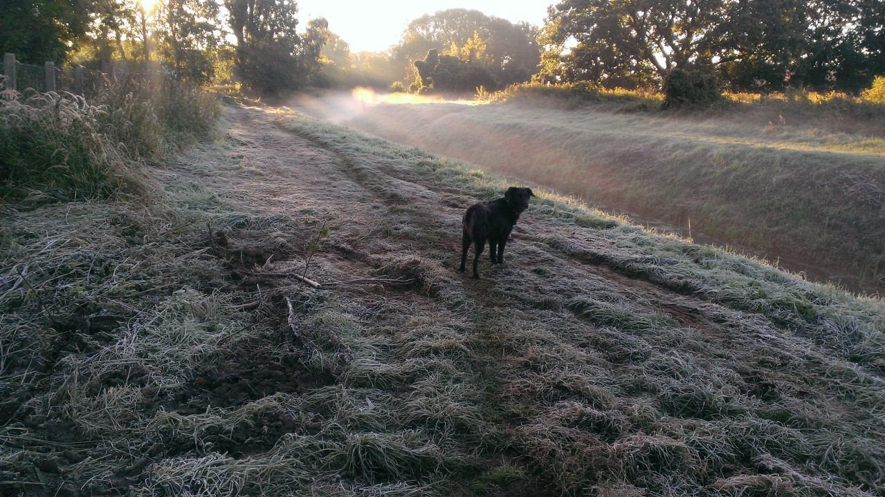 u2310221 OnlyFans header