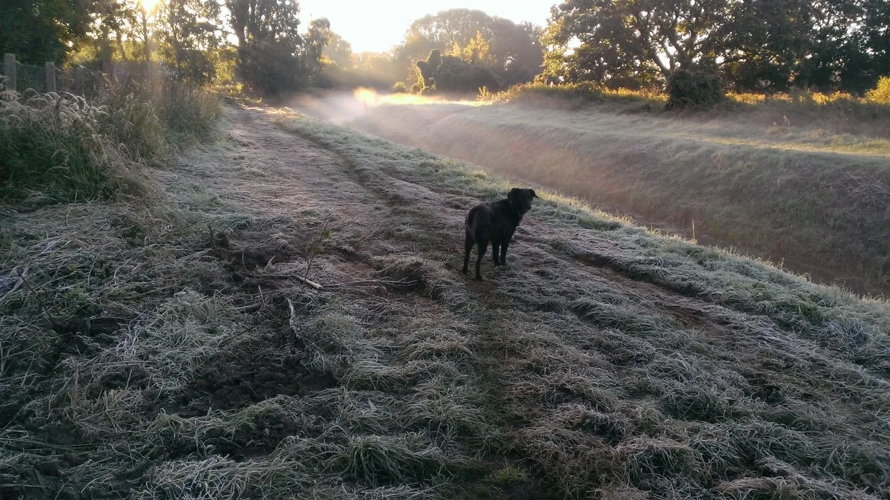 u2310221 OnlyFans header