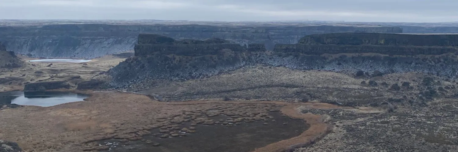 OnlyPlans OnlyFans header