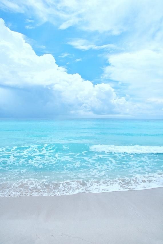 Stella OnlyFans header