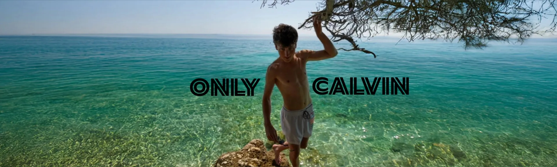 Calvin cover