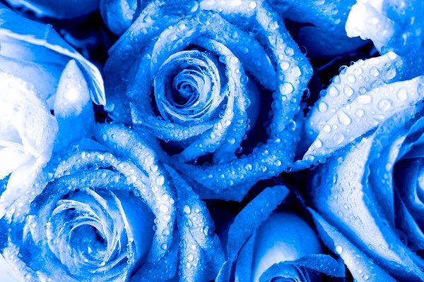 Only1keyaa_Mmm OnlyFans header