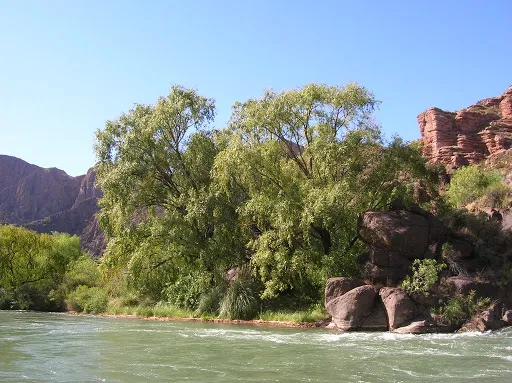 u3091749 OnlyFans header