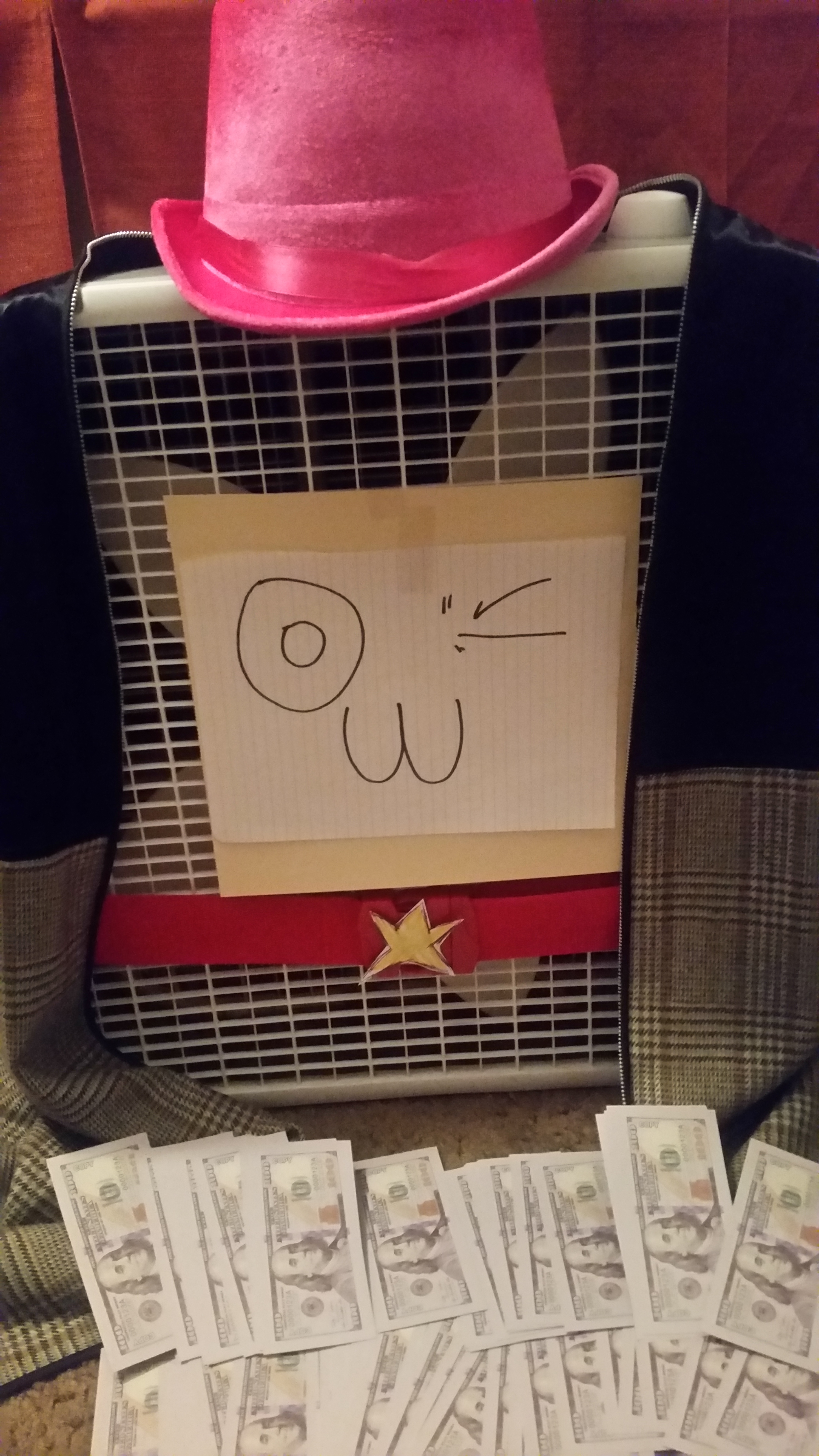 Only Actual Fans OnlyFans