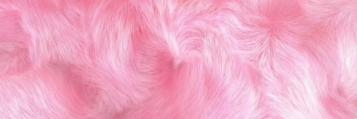 OnlyBunnies 🐰 OnlyFans header