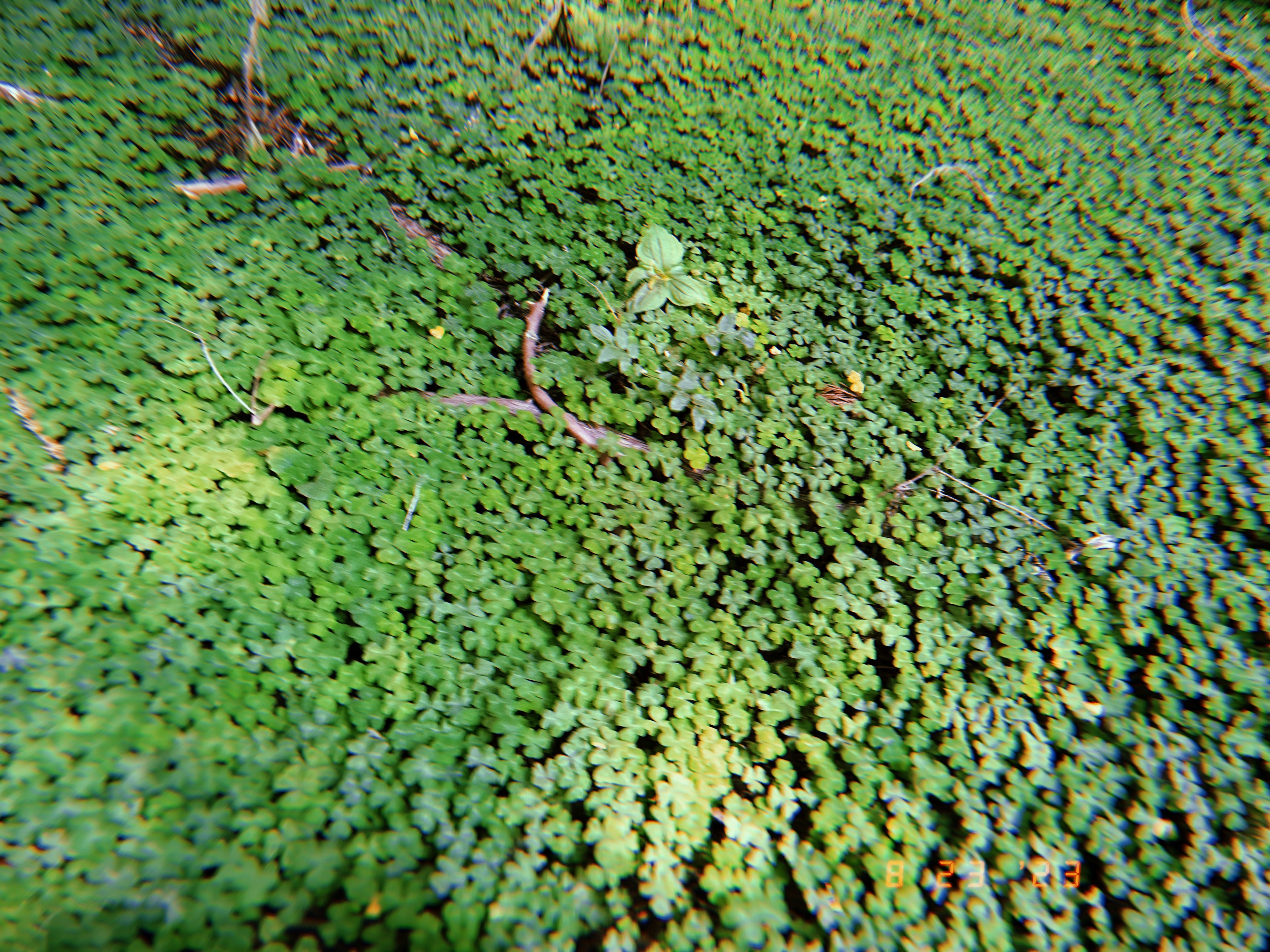 Mister Strokes OnlyFans header