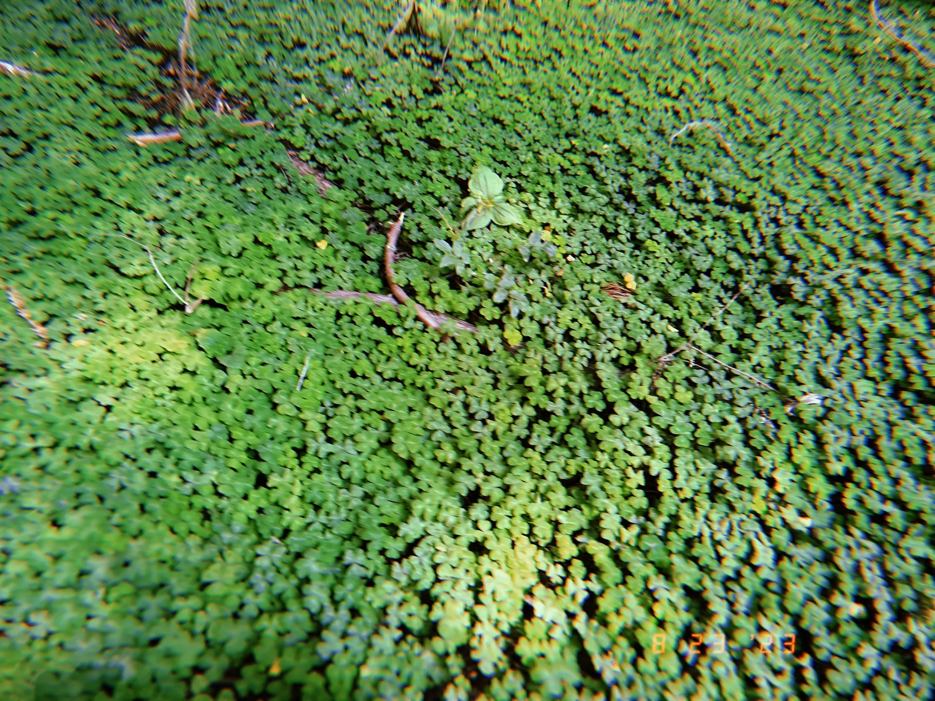 Mister Strokes OnlyFans header