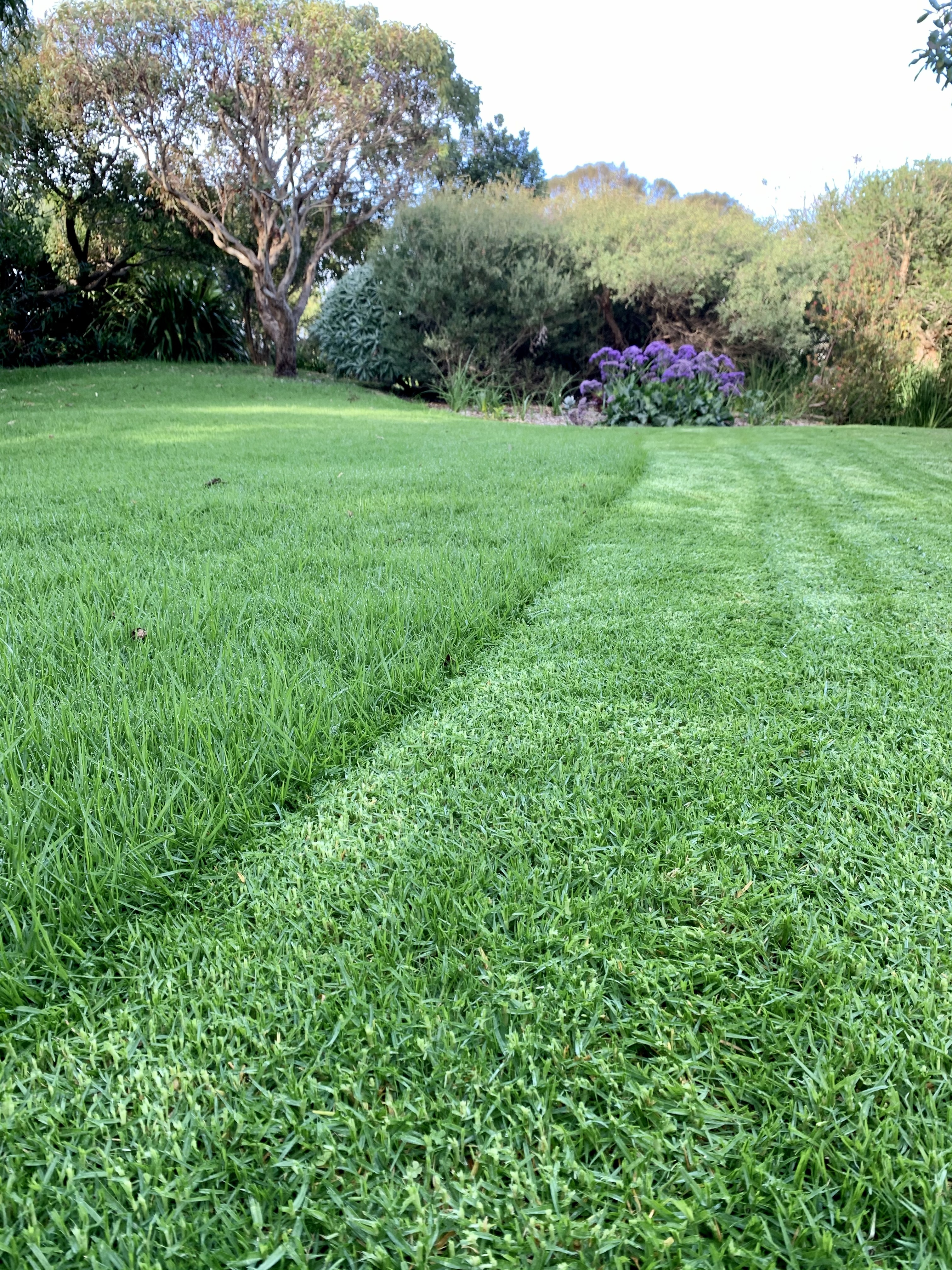 Only Lawns OnlyFans header