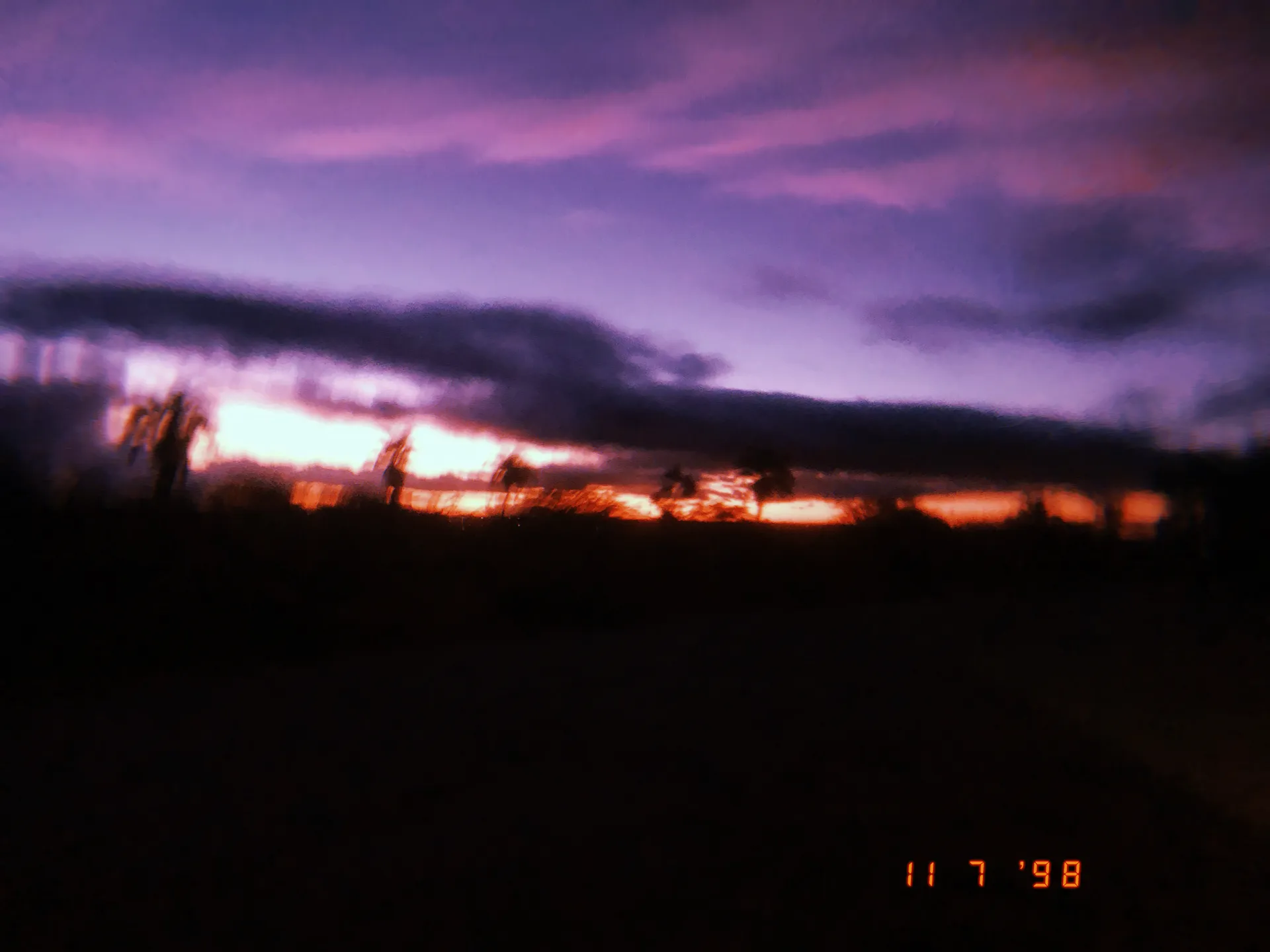 Oliv OnlyFans header