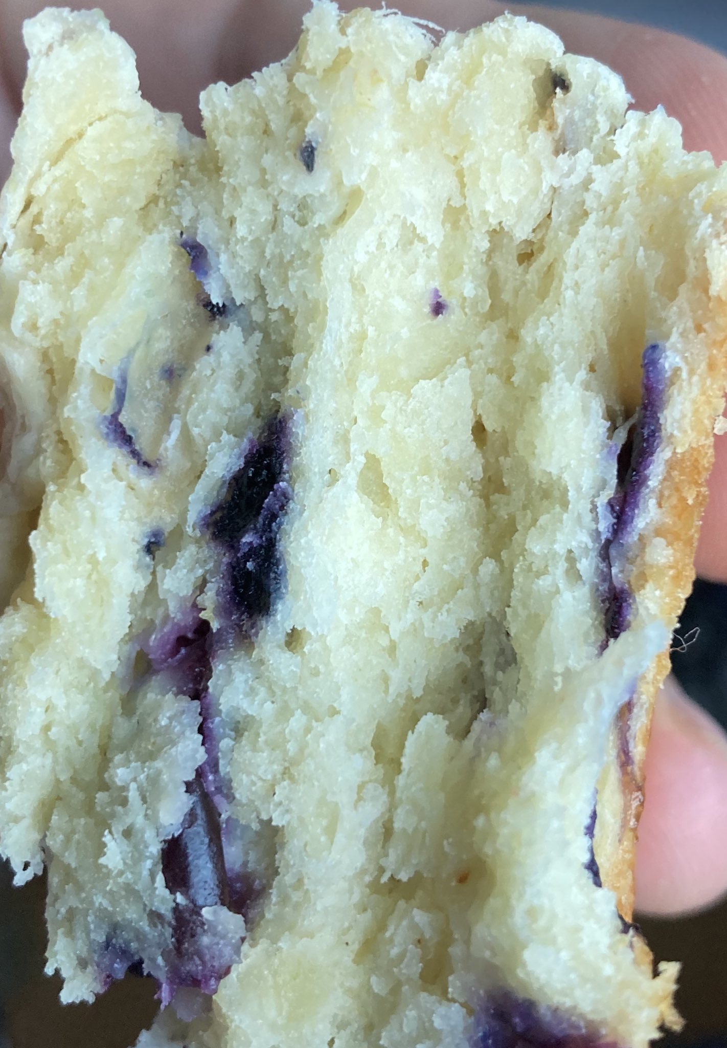 Only Pans OnlyFans header