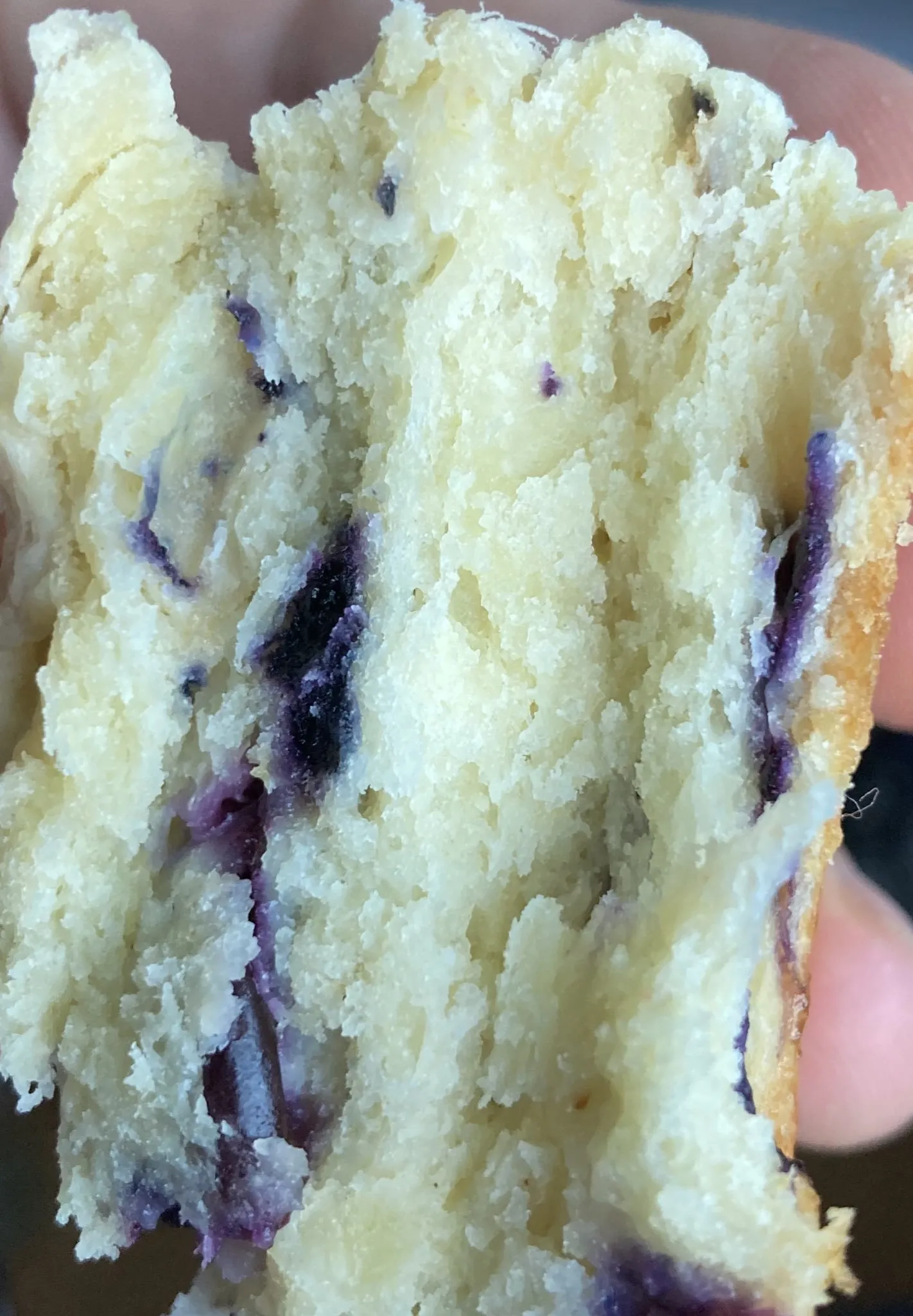 Only Pans OnlyFans header