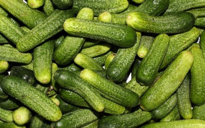 OnlyPickles OnlyFans