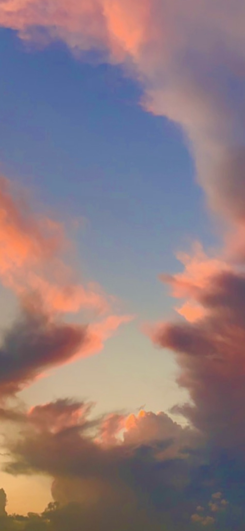 Pies OnlyFans header