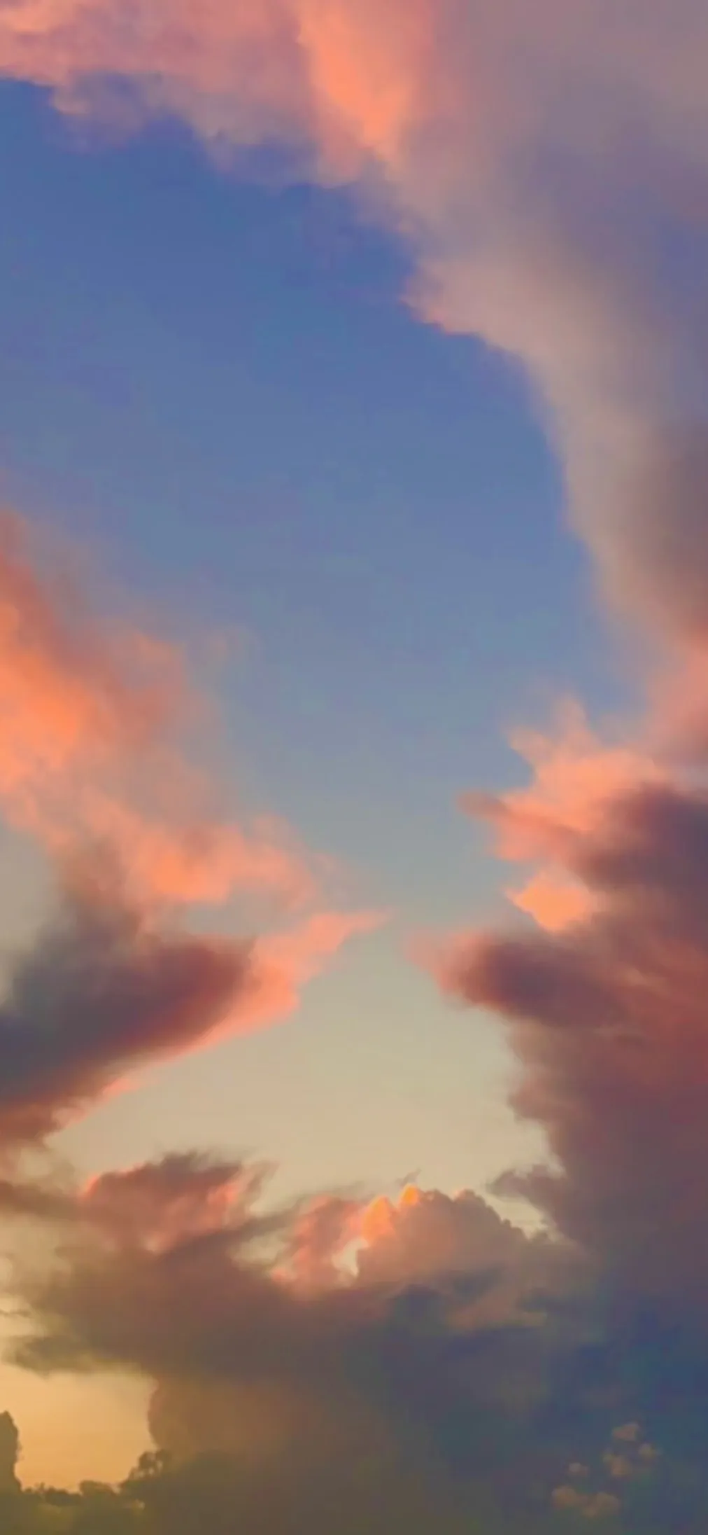 Pies OnlyFans header