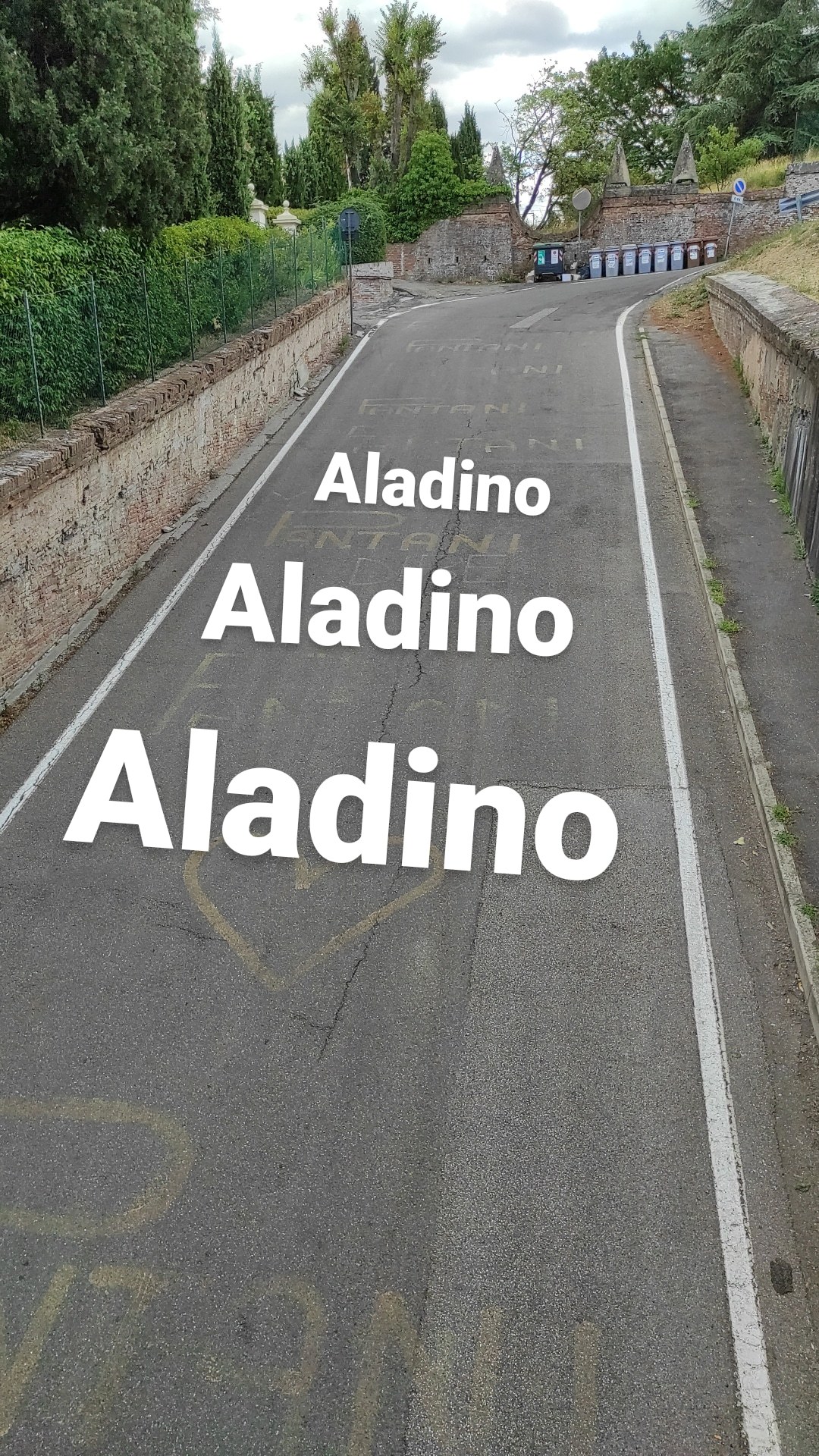 Aladino OnlyFans header