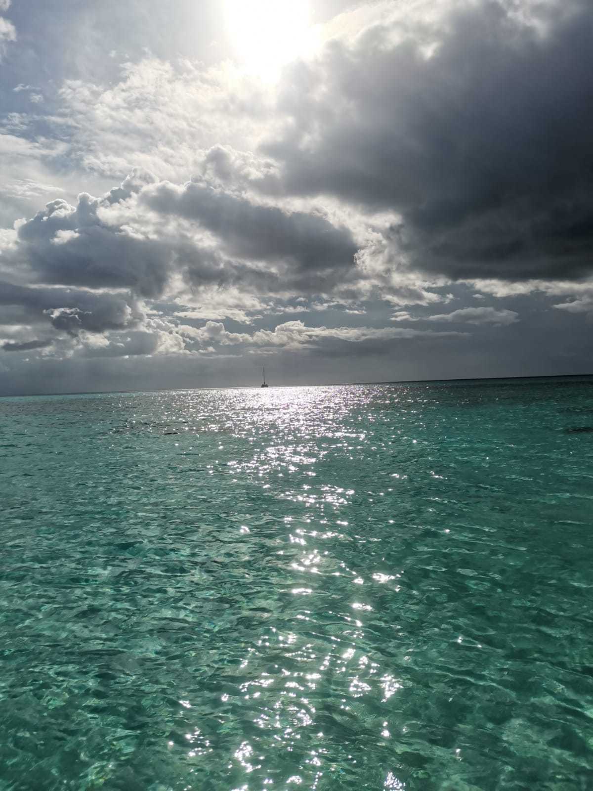 Alan OnlyFans header