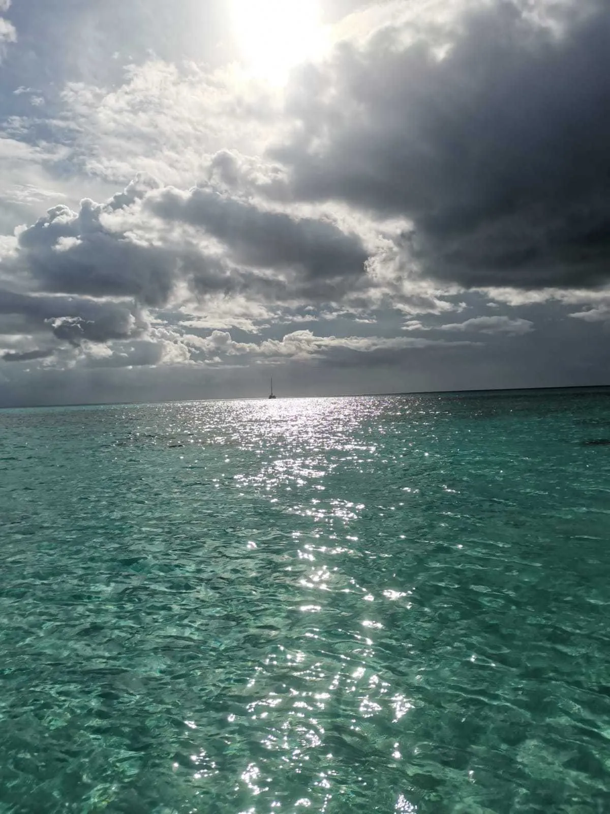 Alan OnlyFans header