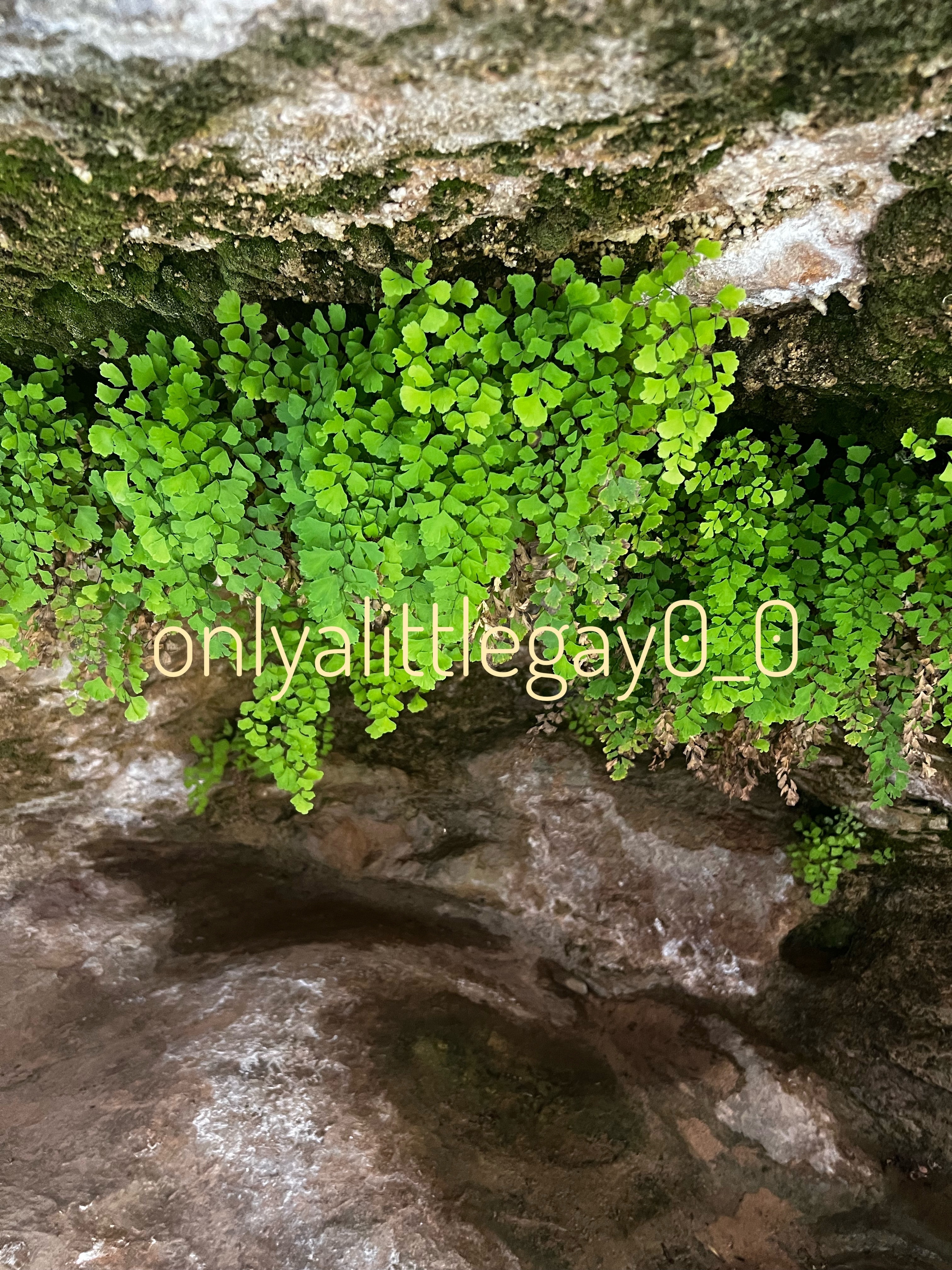 🍑D&amp;C🍆 OnlyFans header