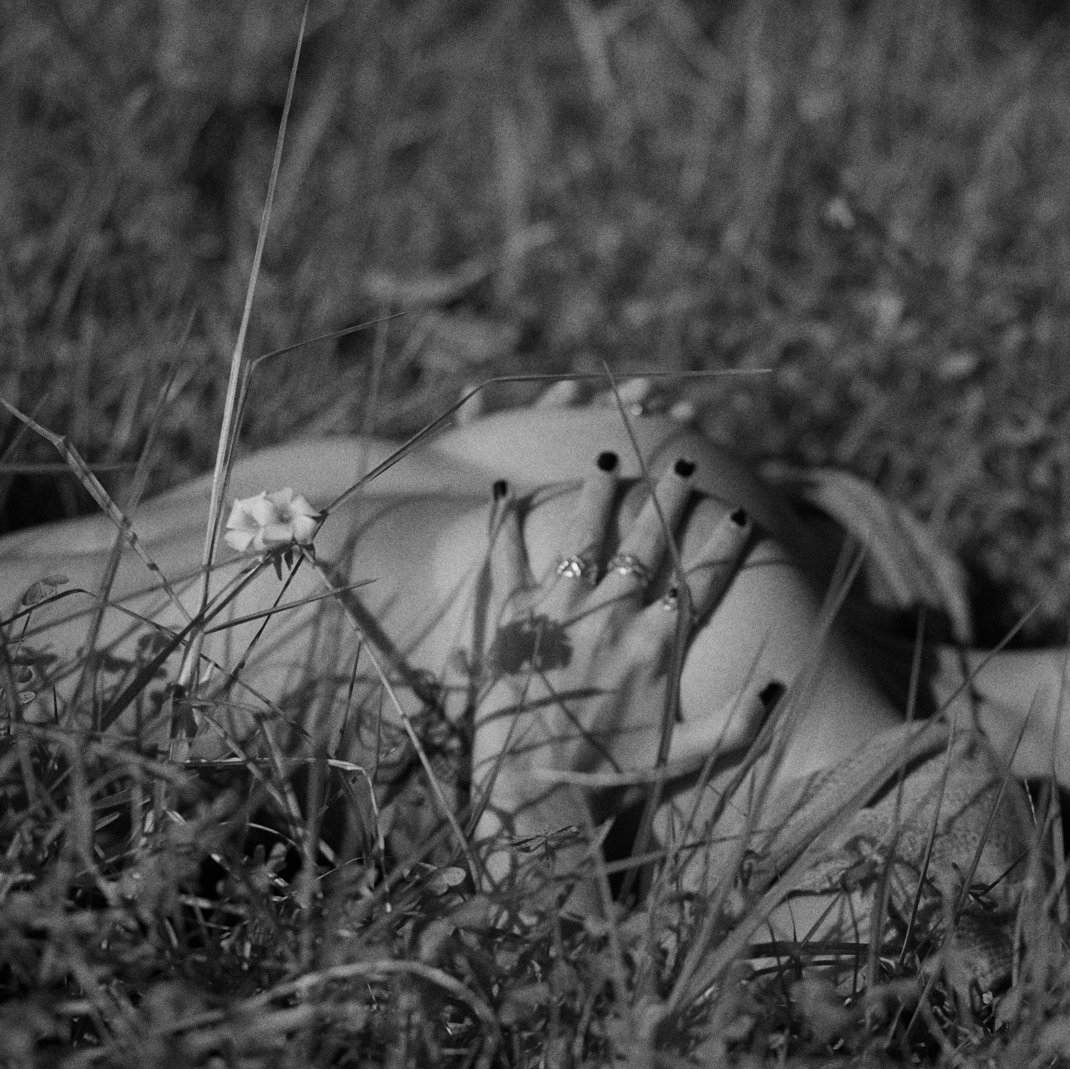 andrea 🌟 OnlyFans header