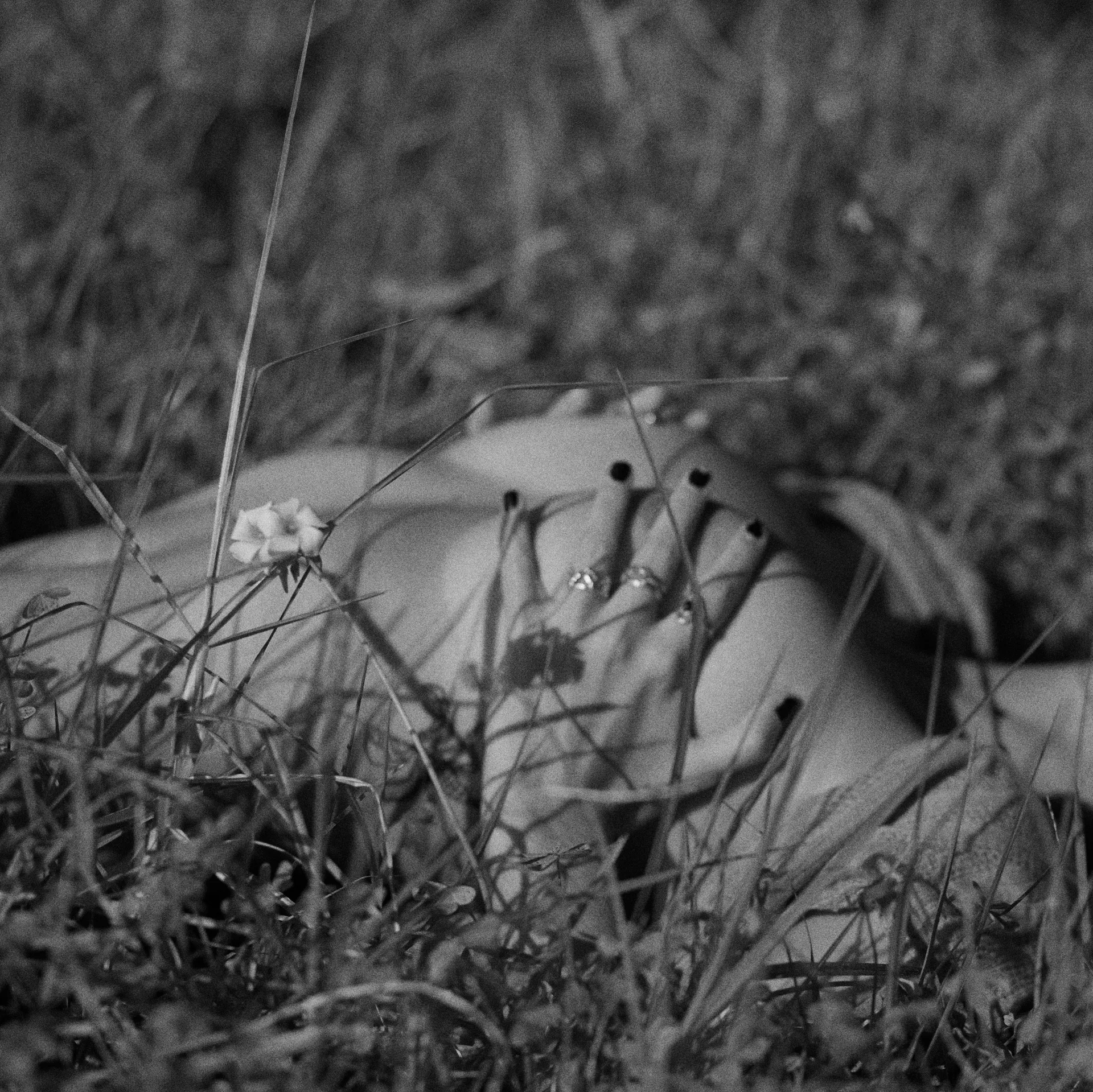 andrea 🌟 OnlyFans header