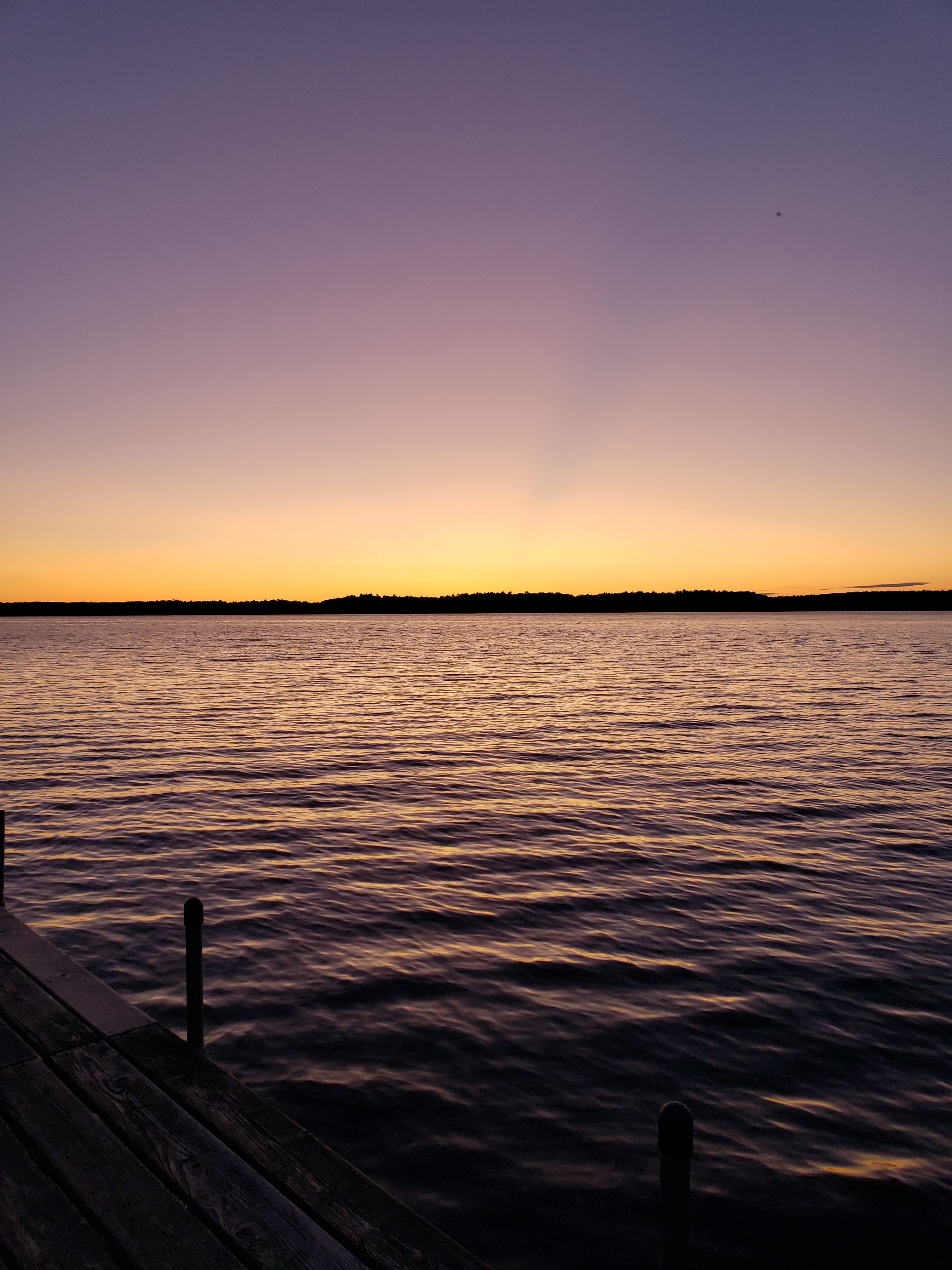 Only Anonymous OnlyFans header