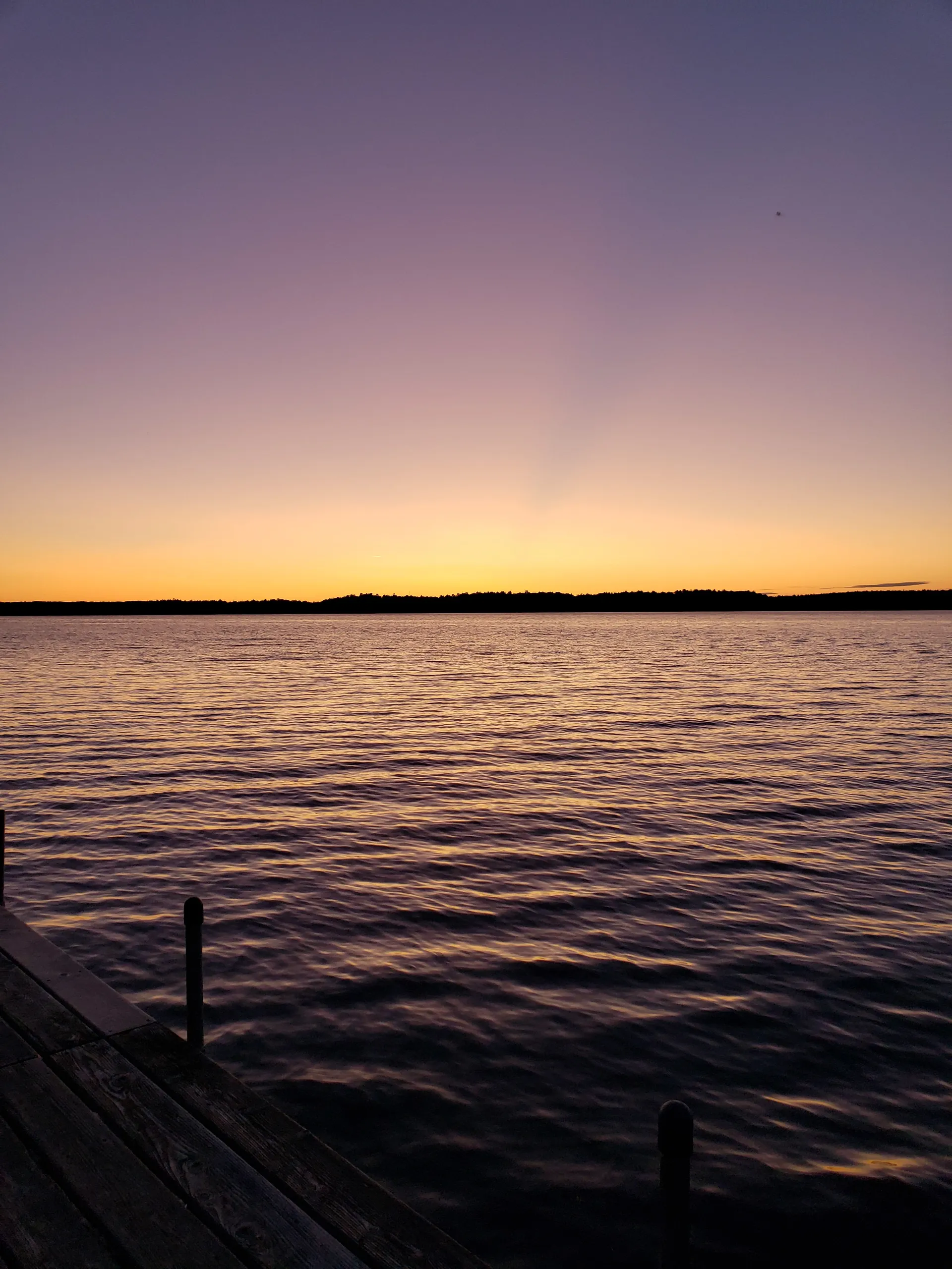 Only Anonymous OnlyFans header