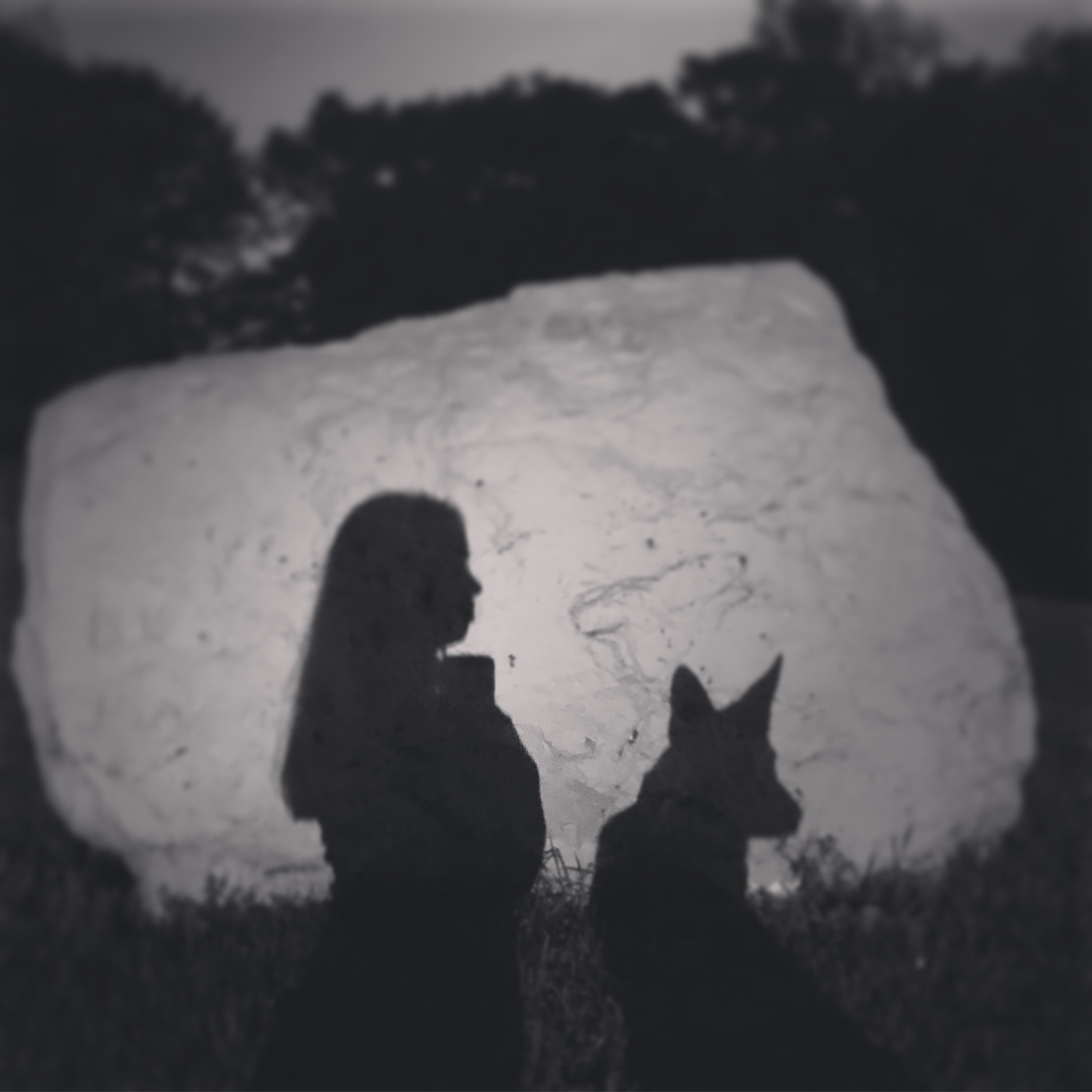 Only Anti-fans OnlyFans