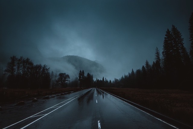 Forbidden 👑 OnlyFans header