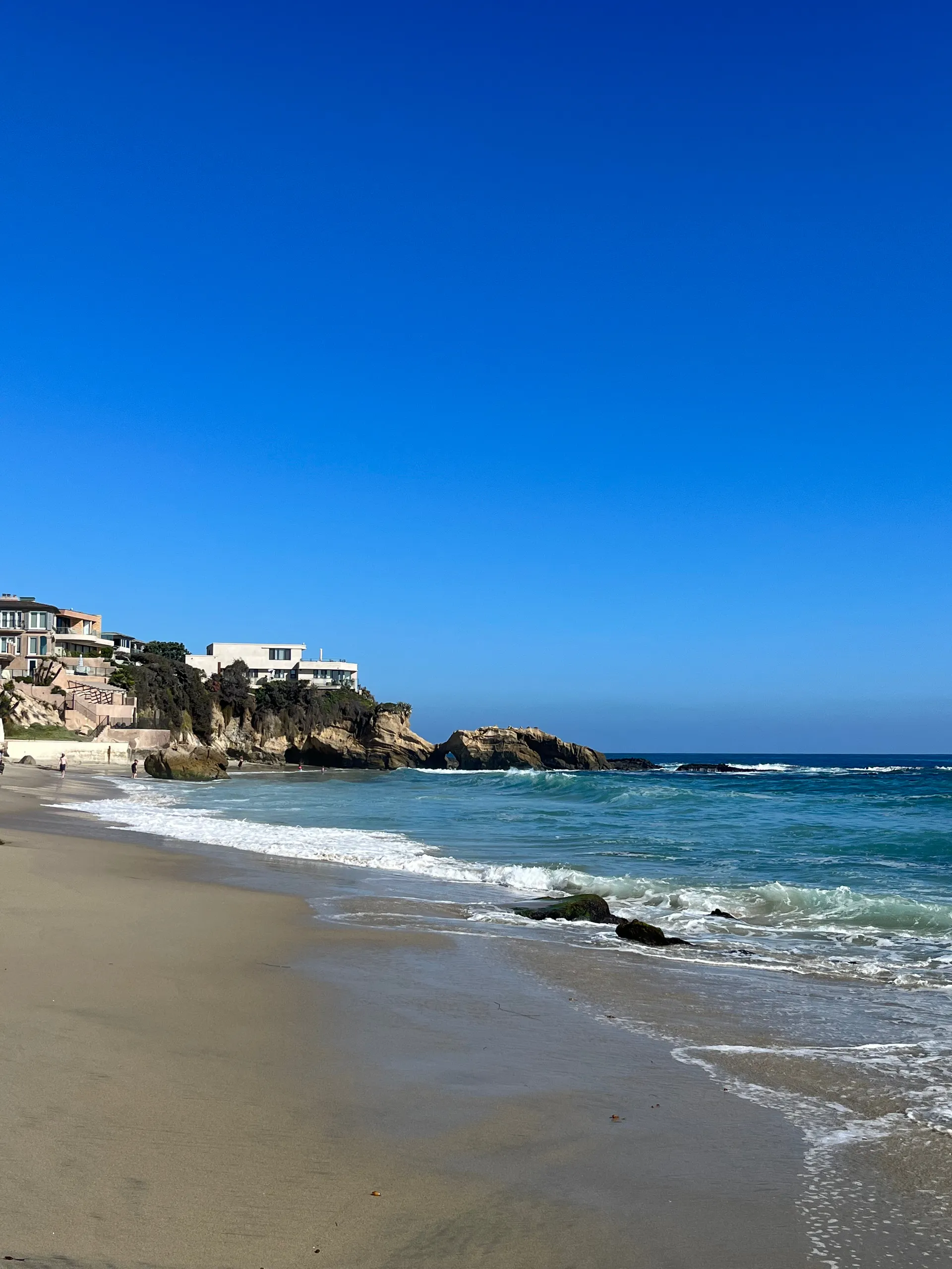 Ava Ivory OnlyFans header