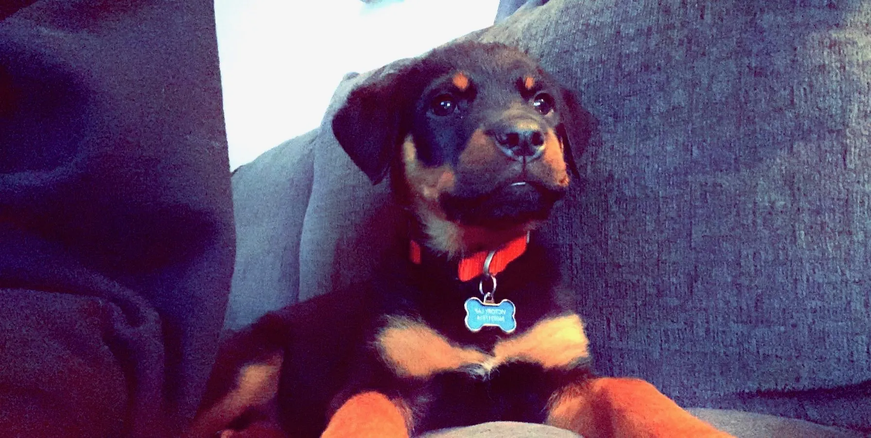 Onlybandz OnlyFans header