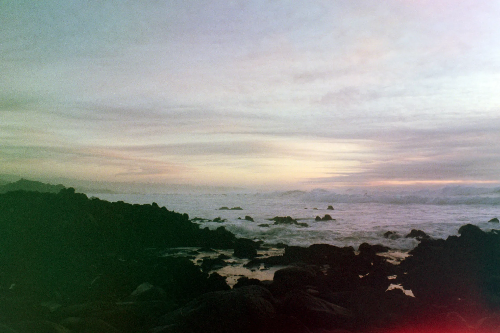 🔔 OnlyFans header